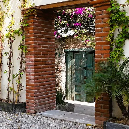 Orchid House Coyoacán