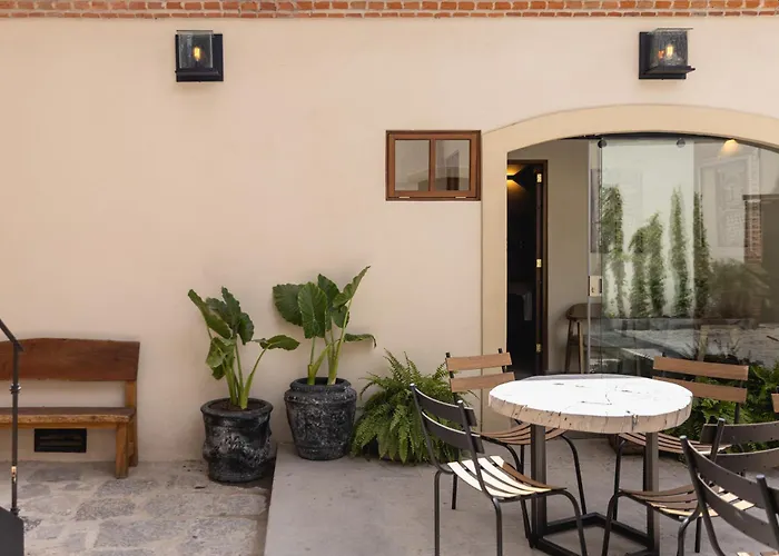 Hotel Orchid House Coyoacán 5*
