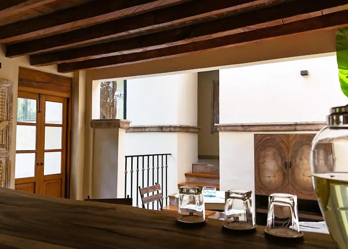 Orchid House Coyoacan 酒店