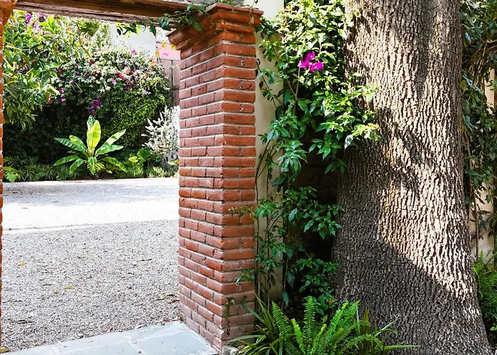 Hotel Orchid House Coyoacán México DF