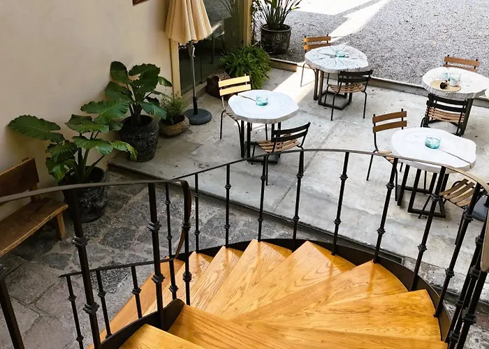 Orchid House Coyoacan 酒店