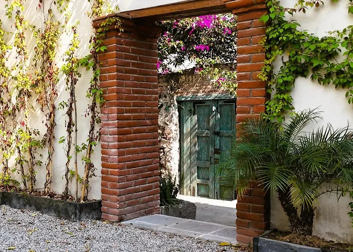 Orchid House Coyoacán 5*