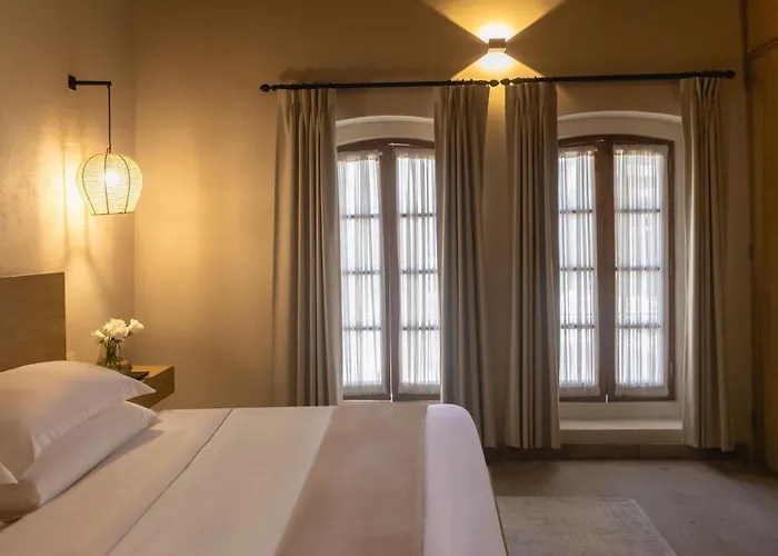 Orchid House Coyoacan 5* 墨西哥城