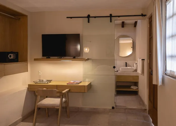 酒店 Orchid House Coyoacan 墨西哥城