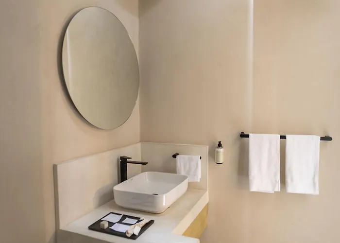 Hotel Orchid House Coyoacán 5*