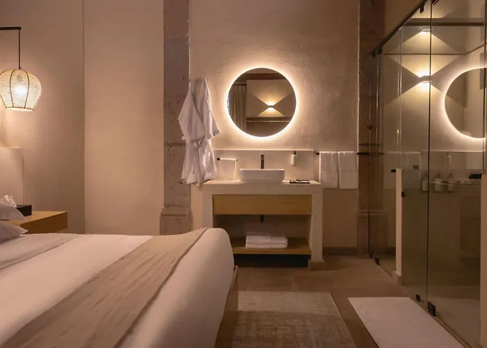 Hotel Orchid House Coyoacán