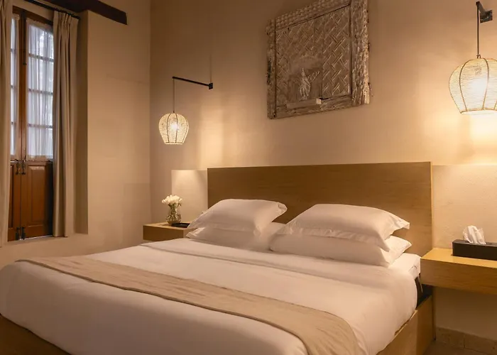Orchid House Coyoacán Hotel 5*