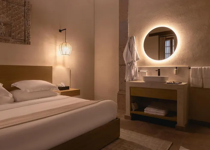 Hotel Orchid House Coyoacán 5*