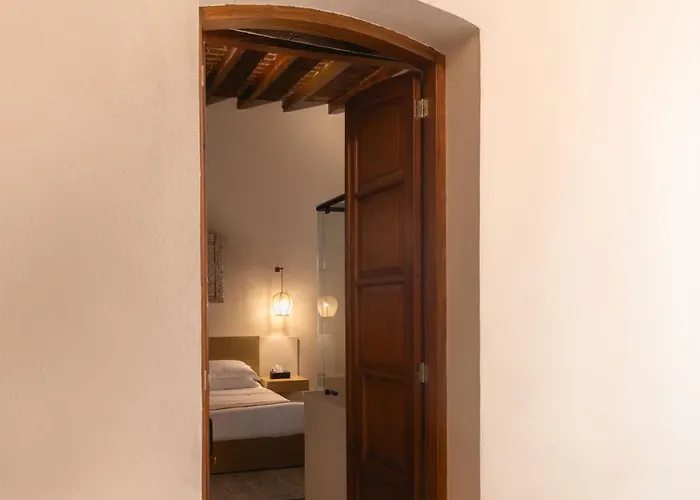 酒店 Orchid House Coyoacan 墨西哥城