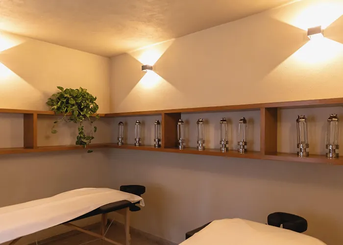 Orchid House Coyoacan 酒店 墨西哥城