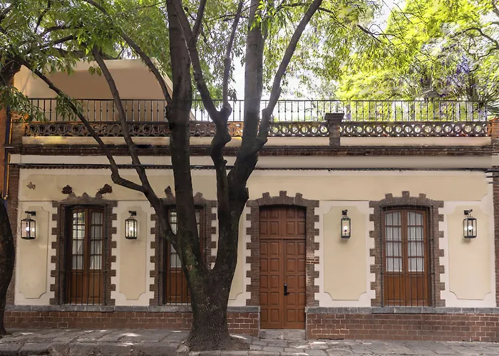 Hotel Orchid House Coyoacán