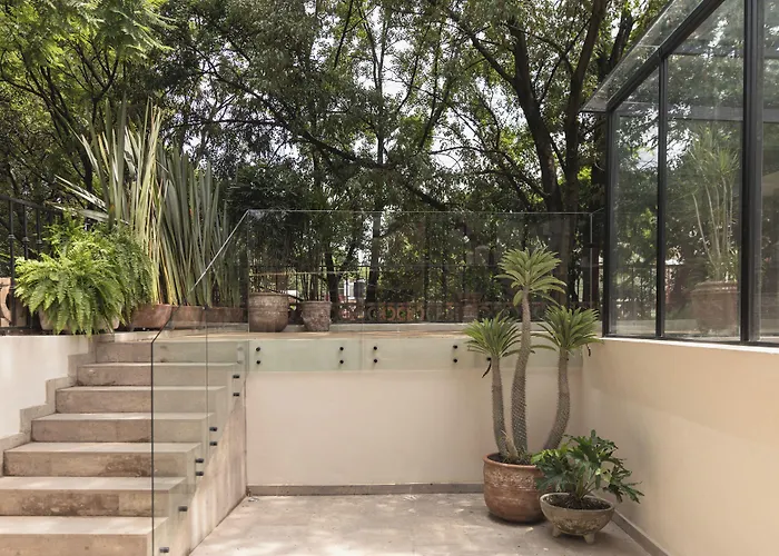 酒店 Orchid House Coyoacan