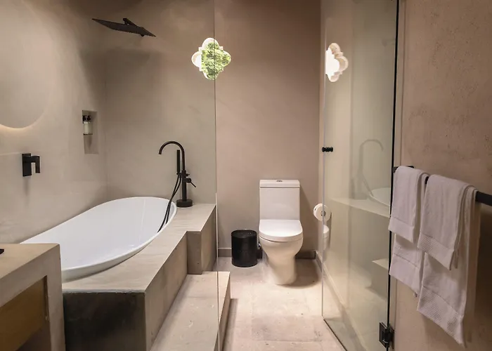 Hotel Orchid House Coyoacán