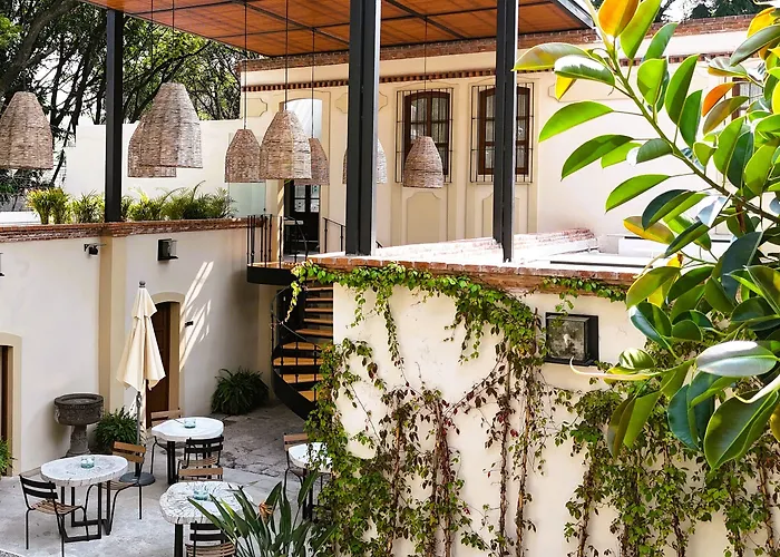 Orchid House Coyoacan 5*