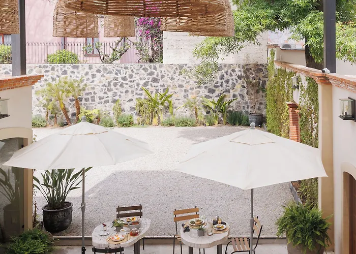 Orchid House Coyoacan 墨西哥城