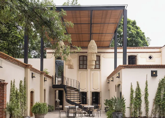 酒店 Orchid House Coyoacan