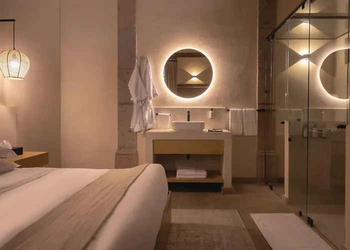酒店 Orchid House Coyoacan 墨西哥城