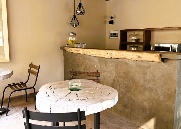 酒店 Orchid House Coyoacan 墨西哥城